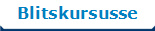 Blitskursusse